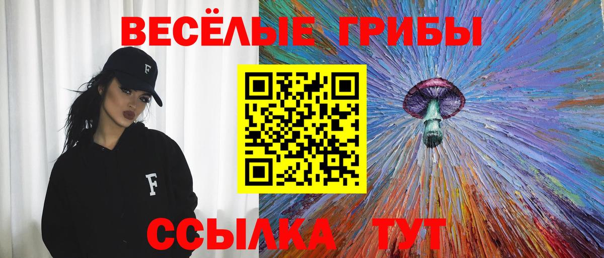 Псилоцибиновые грибы Psilocybine cubensis  дарнет шоп  Тельмана  Галлюциногенные грибы GOLDEN TEACHER  Вход с VPN 